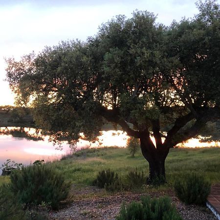 Fontes - A Essencia Do Alentejo Com Lago Privado Редондо Екстериор снимка