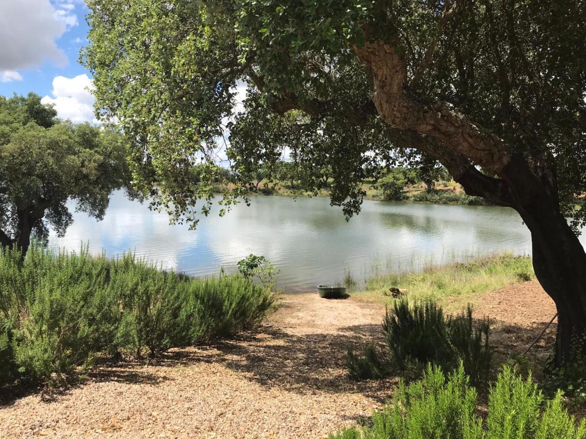 Fontes - A Essencia Do Alentejo Com Lago Privado Редондо Екстериор снимка