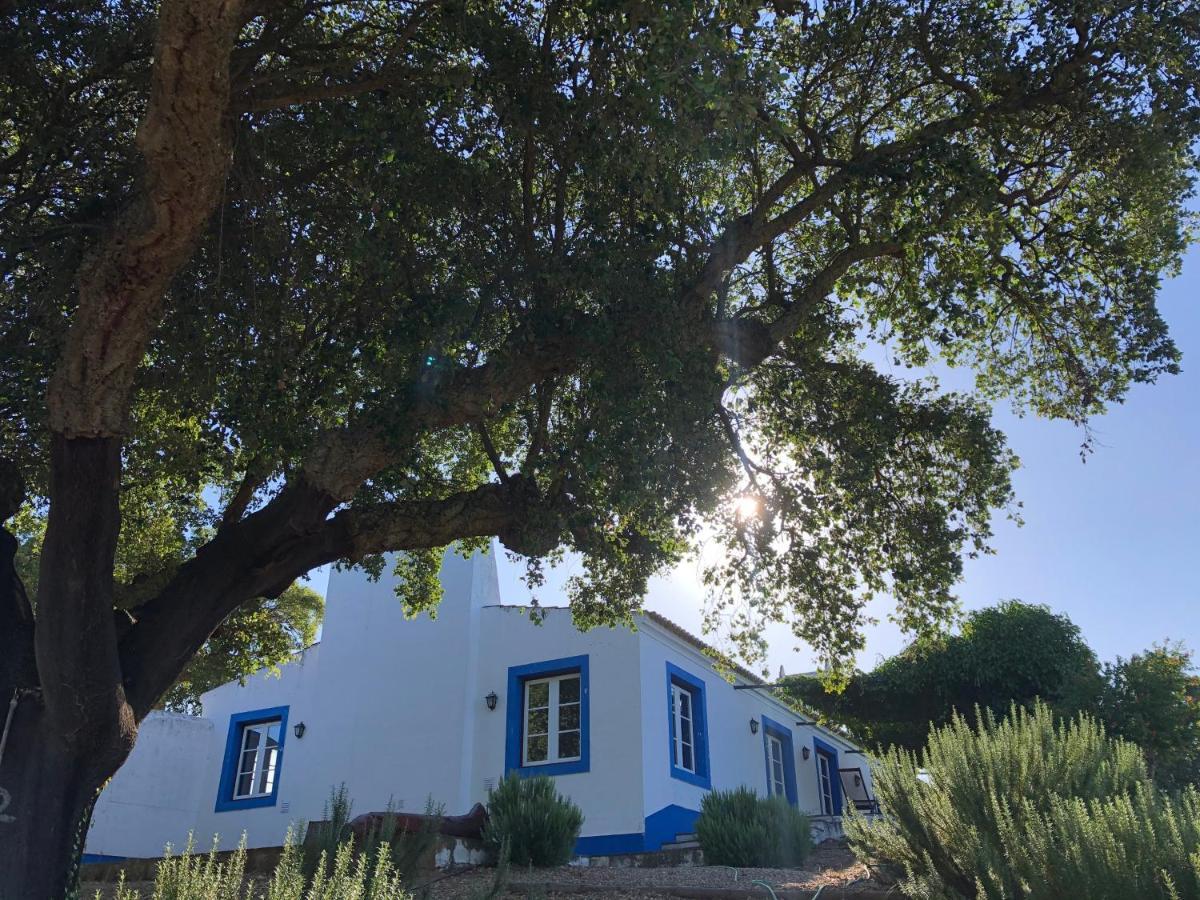 Fontes - A Essencia Do Alentejo Com Lago Privado Редондо Екстериор снимка