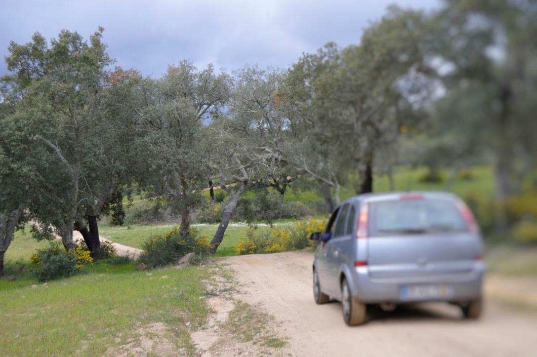 Fontes - A Essencia Do Alentejo Com Lago Privado Редондо Екстериор снимка